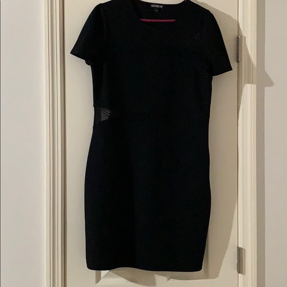 Express Dresses & Skirts - Express Mesh Cutout Dress Express Dresses & Skirts - Express Mesh Cutout Dress